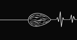 A graphic of an almond drawn with white lines on a black background.