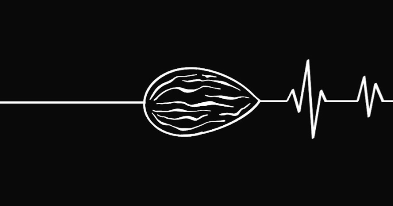 A graphic of an almond drawn with white lines on a black background.